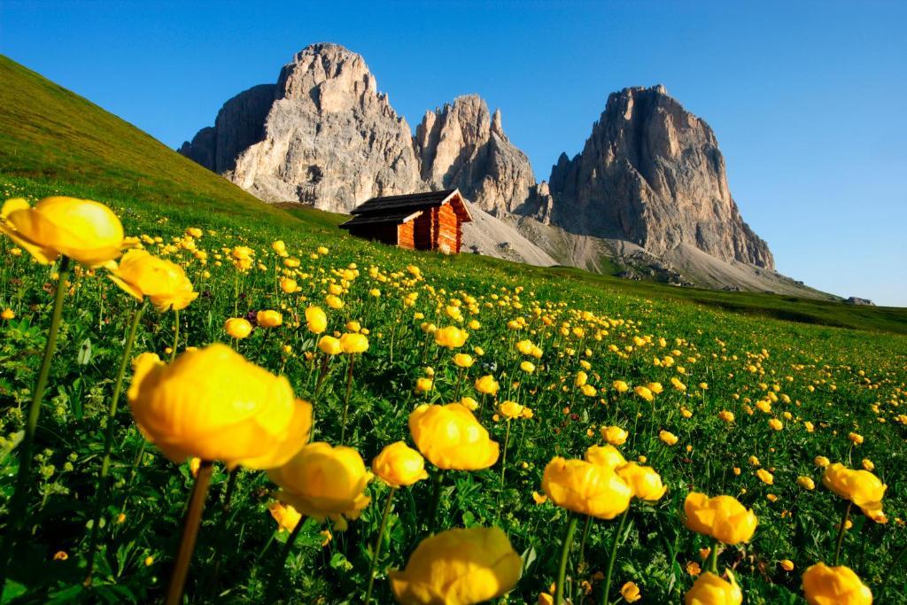 Hotel Col Di Lana Канацеи Экстерьер фото